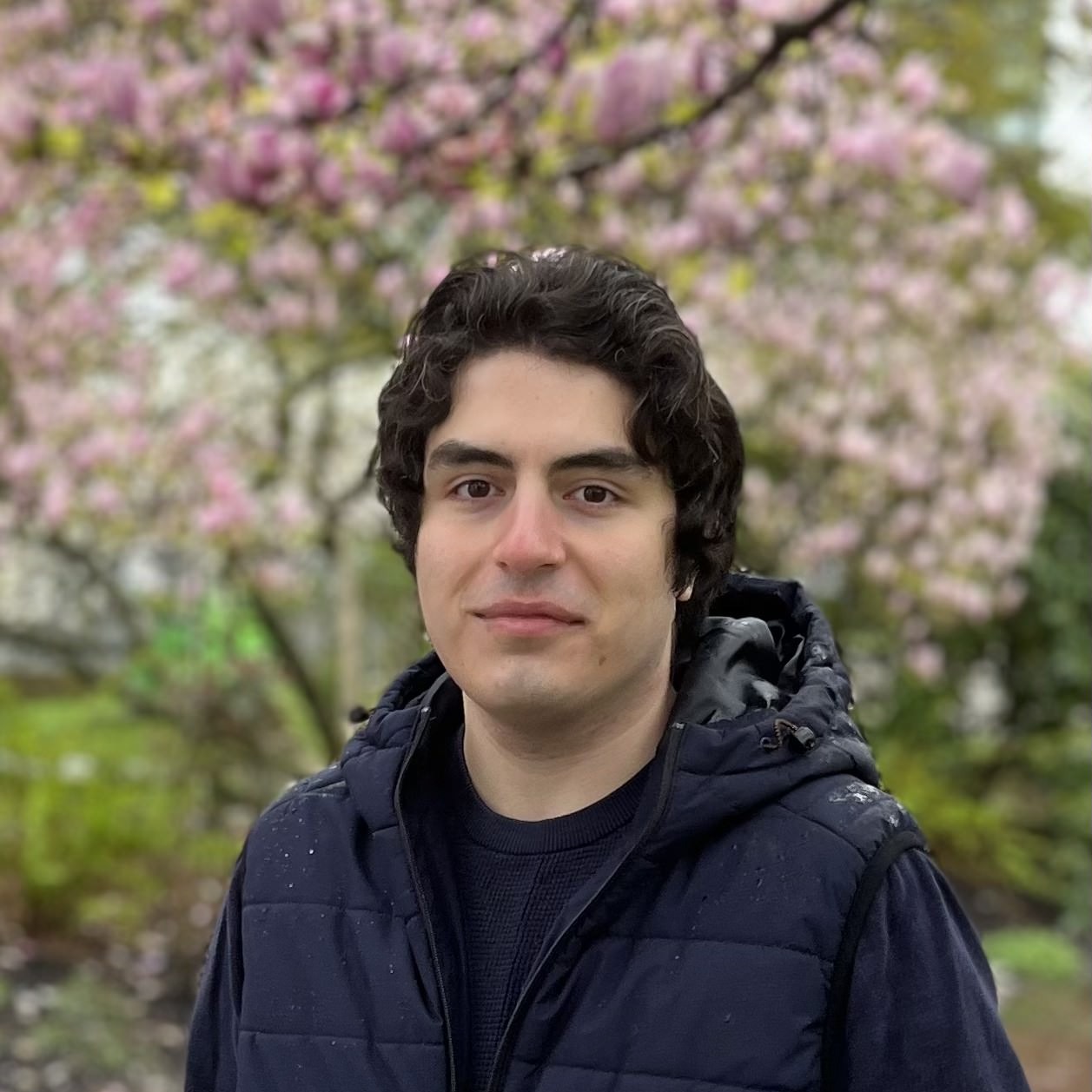Ali Behrouz